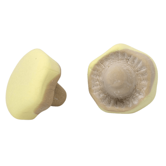 Banana caramel mushrooms - Scandi Candy Swedish Candy Shop